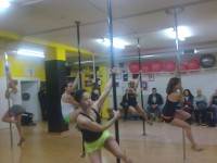 /album/galleria-fotografica/immag3521-jpg/