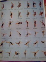 /album/galleria-fotografica/immag3524-jpg/