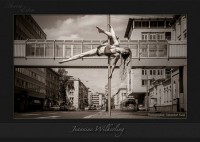 /album/galleria-fotografica/pole-jpg/